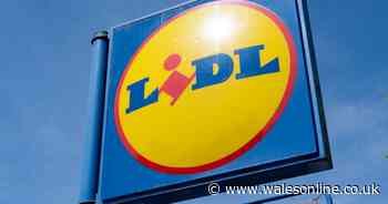 Lidl shopper refuses to gatekeep 'game changer' £3 hay fever remedy