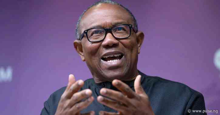 Obidient movement not affiliated with specific political party - Peter Obi