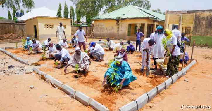 Bauchi community to vigorously prosecute tree-felling offenders in the State
