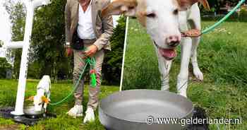 Dorstige honden krijgen verkoeling: Nijmegen introduceert diervriendelijke watertaps