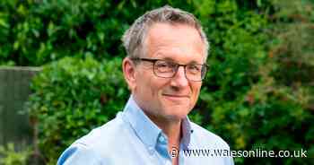 Dr Michael Mosley missing after disappearing on holiday walk