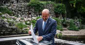 Verkiezingen kunnen ook anders: Marcouch marcheert naar Burgers’ Zoo om te stemmen bij de pinguïns