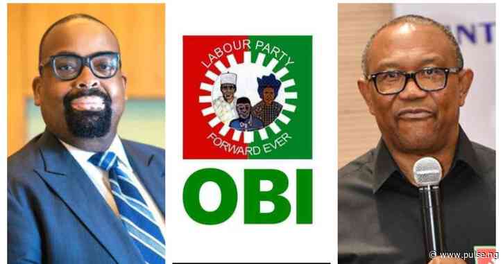 Olumide Akpata recalls support for youth Peter Obi takes Obidients from LP