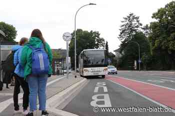 Kein Ende in Sicht: Kosten für Busverkehr in Lübbecke explodieren