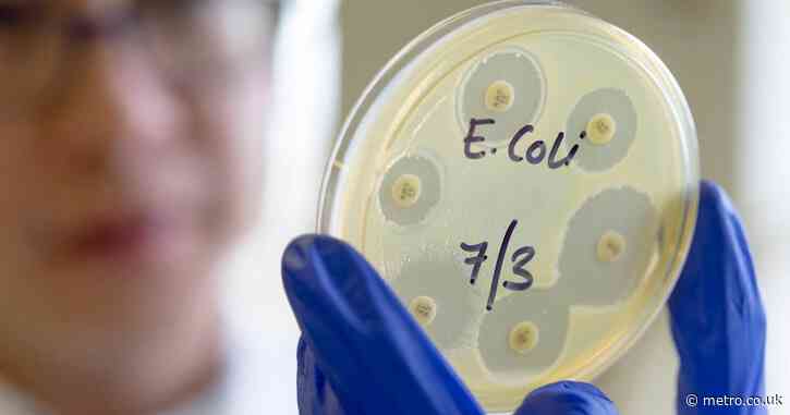 Urgent E.coli outbreak warning after more than 100 cases linked to food