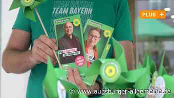 Grünen-Politiker beschimpft: 7500 Euro Strafe