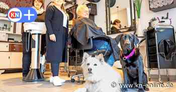 Kollege Hund: Zwei Salonhunde begeistern in der Selenter Frisierstube