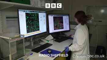 Inside the Sheffield lab hoping to cure MND