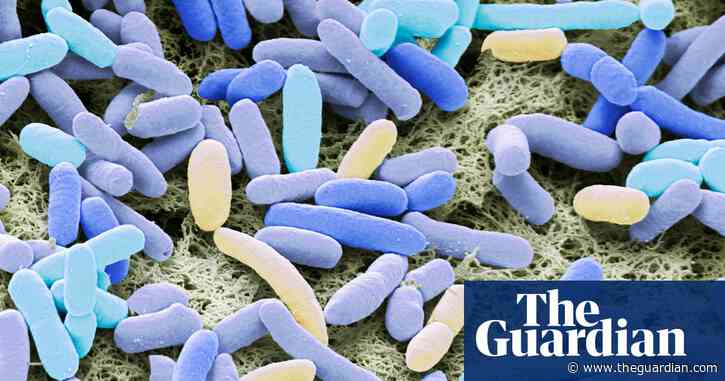 UK outbreak of E coli likely to be linked to food item, says health agency