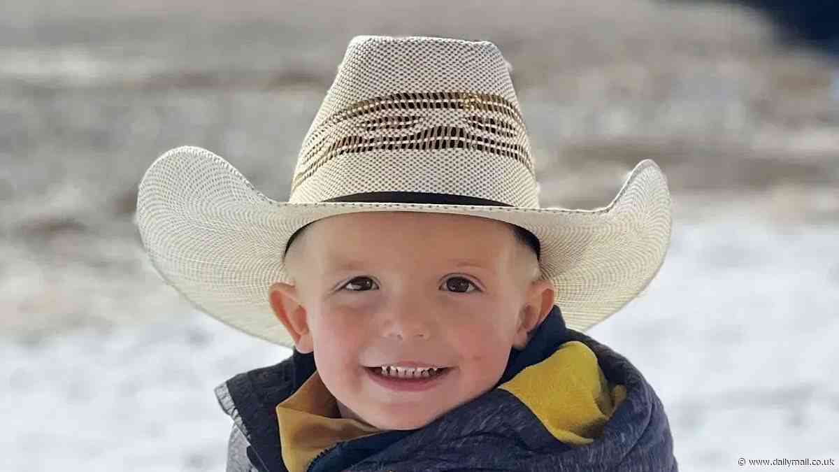 Levi Wright's mother reveals how rodeo star's son fell into the creek where he drowned while driving his toy tractor around their Utah home