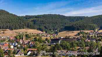Diese Gemeinde hat die zweitgrößte Fläche in Baden-Württemberg