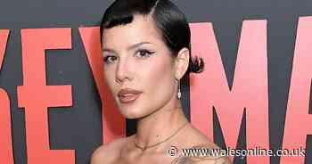 Symptoms of lupus as singer Halsey says she's 'lucky to be alive'