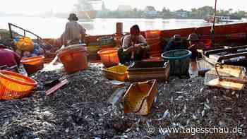 Kehrt Thailands Fischerei zurück zur Sklaverei auf See?