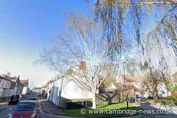 Council refuse to cut down tree which neighbour claims is causing structural damage to their home