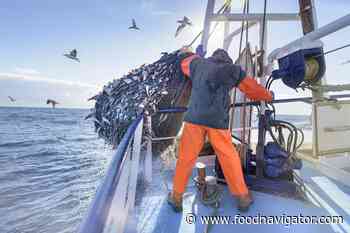 How is the fishing industry tackling sustainability?
