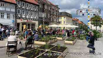 Der Marktplatz in Königslutter wird zur grünen Oase