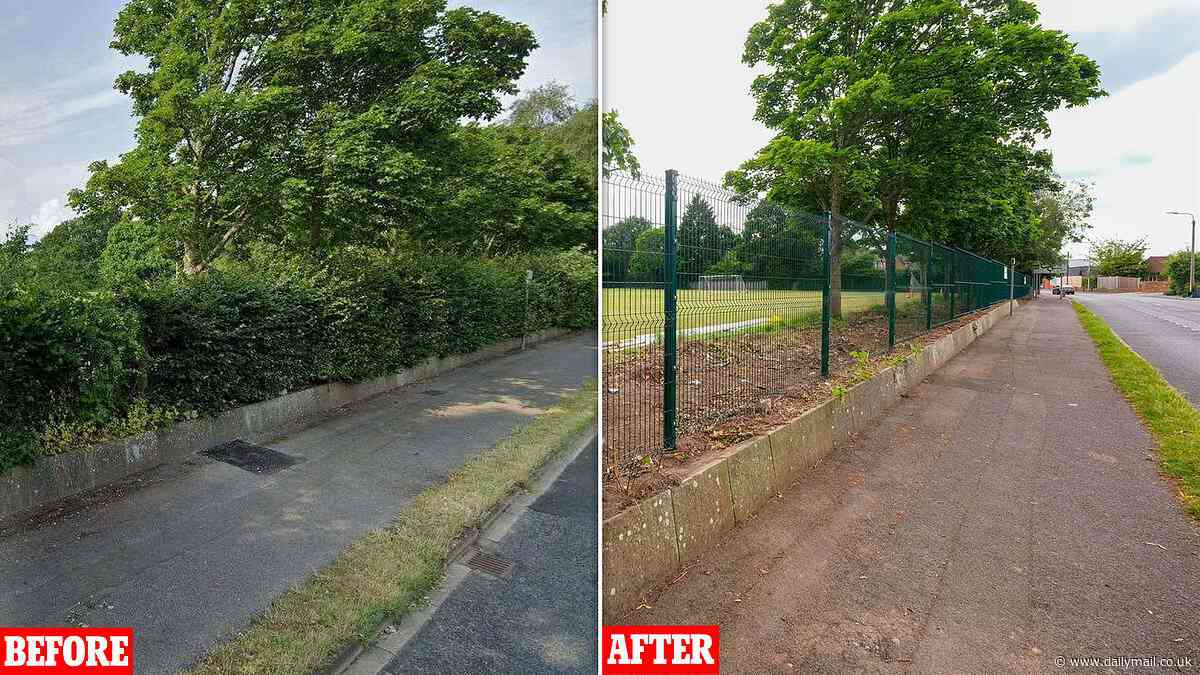 Police launch probe into claims school hedgerow home to nesting and fledgling birds in idyllic market town was illegally chopped down