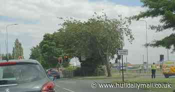 Part of major Hull road shut as police respond to 'assault' near Archbishop Sentamu Academy