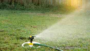 Tampa considering strict lawn water ordinance