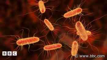 18 achos o E. coli 'yn ymwneud â math penodol o fwyd'