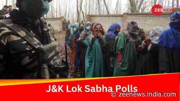 Lok Sabha Polls 2024: Know Why Parliamentary Elections In Kashmir Were Very Different This Time