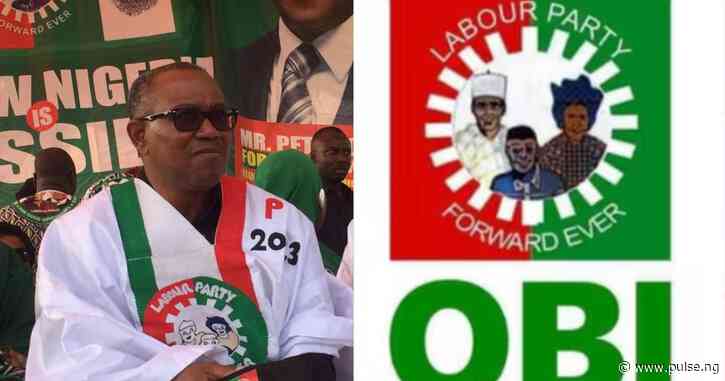 I remain a committed Labour Party member- Peter Obi douses defection rumour