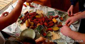 A sell-out US-style crawfish boil event is coming back to Cardiff