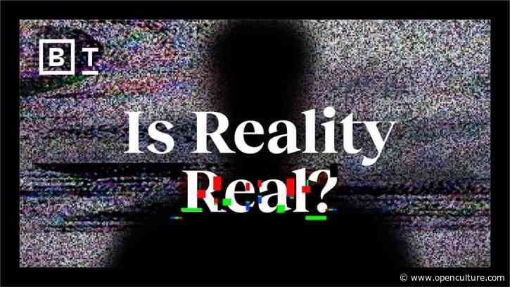 Is Reality Real?: 8 Scientists Explain Whether We Can Ever Know What Objectively Exists