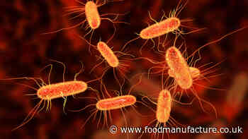 E.Coli cases see spike in UK