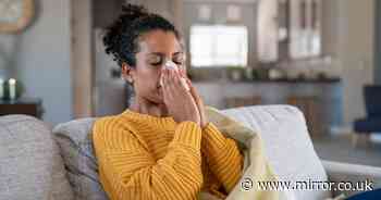 Whooping cough symptoms: Three earliest signs of deadly bacterial infection