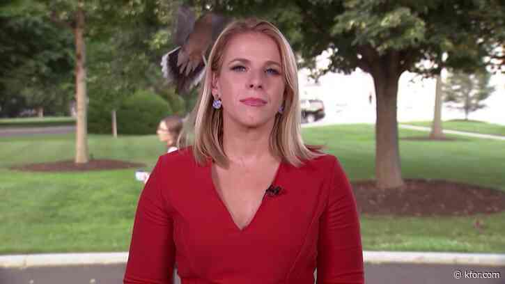 WATCH: Bird lands on White House reporter’s head moments before live shot