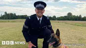 Police dog and sergeant celebrate 'dream' title win