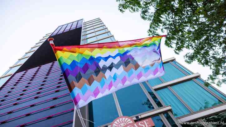 Eindhovense Pride vlaggen hangen 24 uur en zijn nu al vernield of gestolen