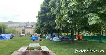 Police clear York University protest encampment a day after it emerges