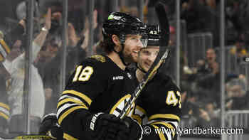 Boston Bruins 2023-24 Season Report Cards: Pavel Zacha
