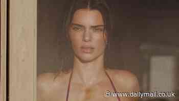 Kendall Jenner models a burgundy Brazilian string bikini by the ocean after 'getting back together with Bad Bunny'