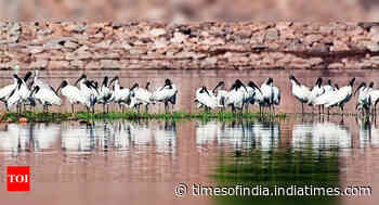 2 bird sanctuaries from Bihar added under Ramsar convention list