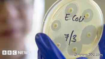 UK E. coli outbreak most likely linked to food item