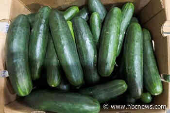 FDA investigating cucumbers as source of Salmonella outbreak that's sent 54 to the hospital