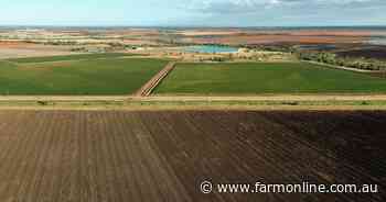 Quality irrigation backed by a 1570 megalitre water licence | Video