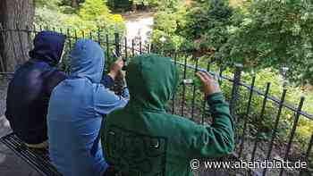 Feierorgien im Schlosspark: Anwohner fordert Einschreiten