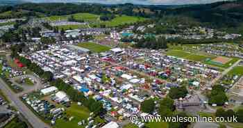 AD FEATURE: Royal Welsh Show 2024: 11 must-do activities at this year's event