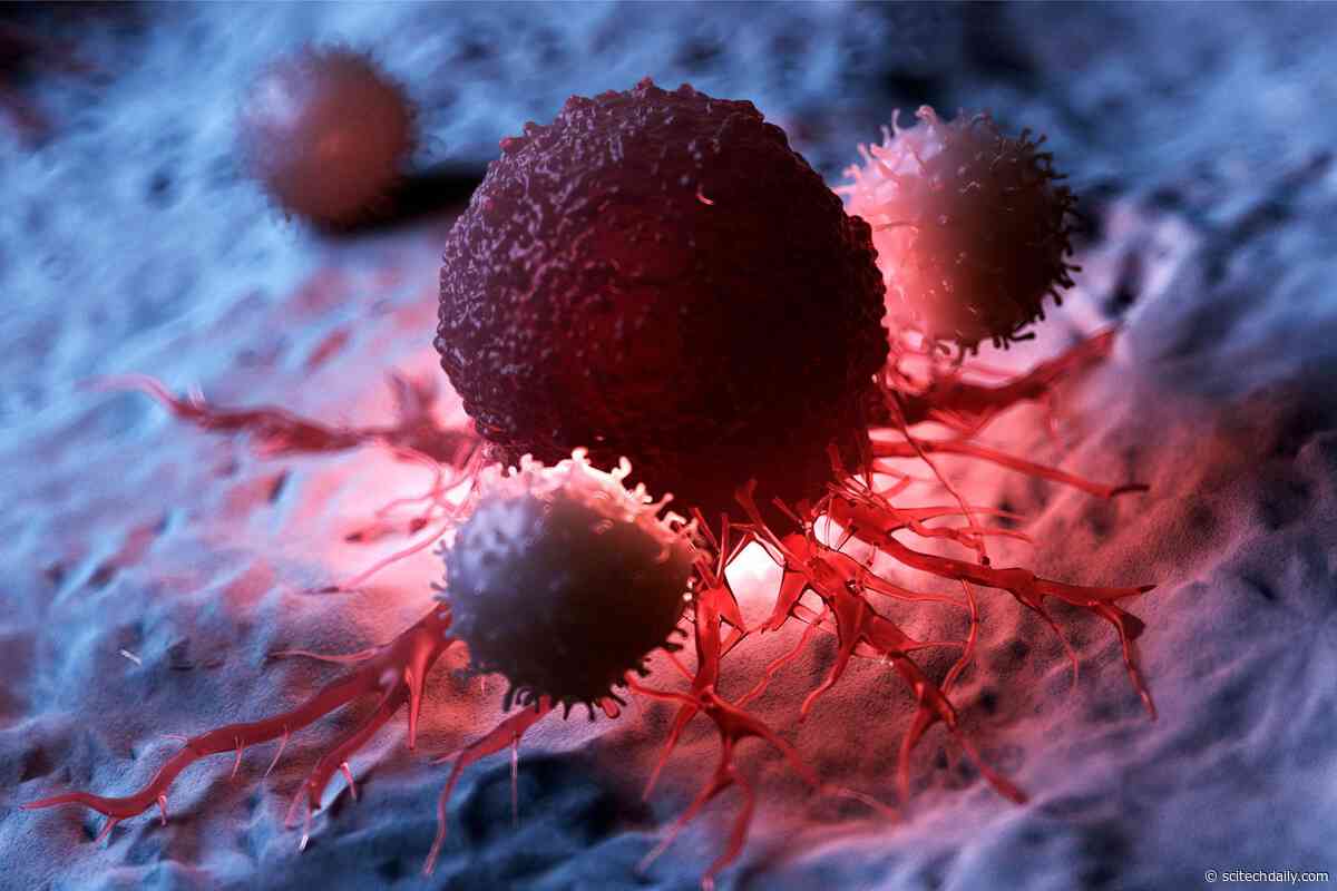 Cancer Breakthrough: Scientists Discover Game-Changing New Type of T Cells