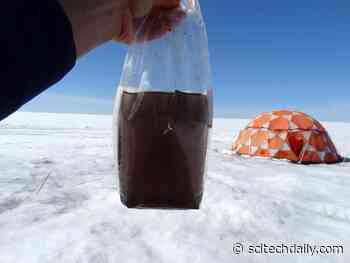 Protectors of the Ice? Strange Giant Viruses Discovered on Greenland Ice Sheet