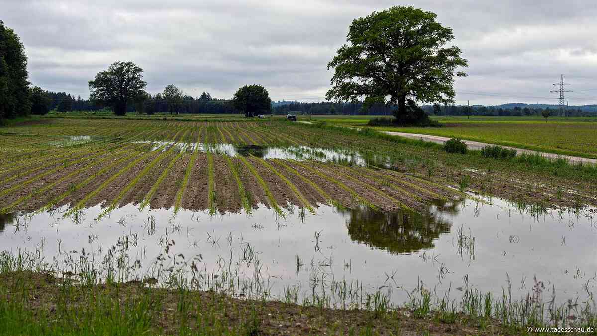 Viele Bauern in Süddeutschland verlieren Ernte durch Hochwasser