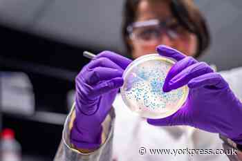 E.coli outbreak advice as at least 37 people hospitalised