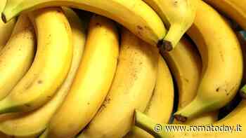 Le banane fanno bene alla salute: ecco i 10 vantaggi per l'organismo