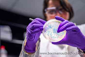 E.coli outbreak advice as at least 37 people hospitalised