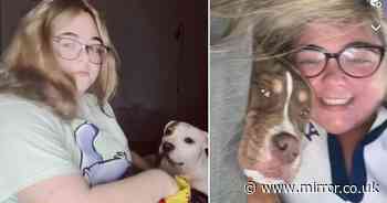 XL Bully attack: All dogs in house where woman mauled to death on her birthday destroyed