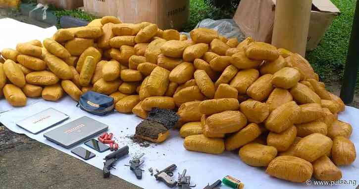 NDLEA arrests 110, recovers 520.385kgs of illicit substances in 1 month